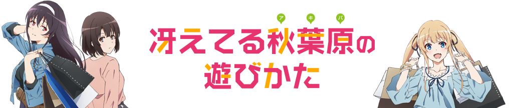 冴えてる秋葉原(アキバ)の遊びかた